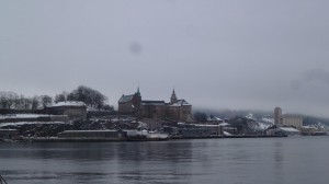 2015-01-25_Oslo_118